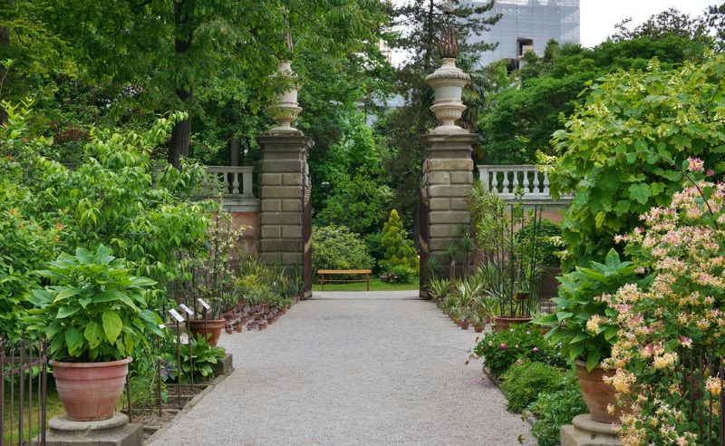 Jardín Botánico de Padua, Italia