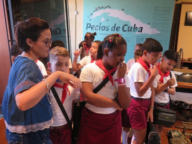 Habana desde los hallazgos